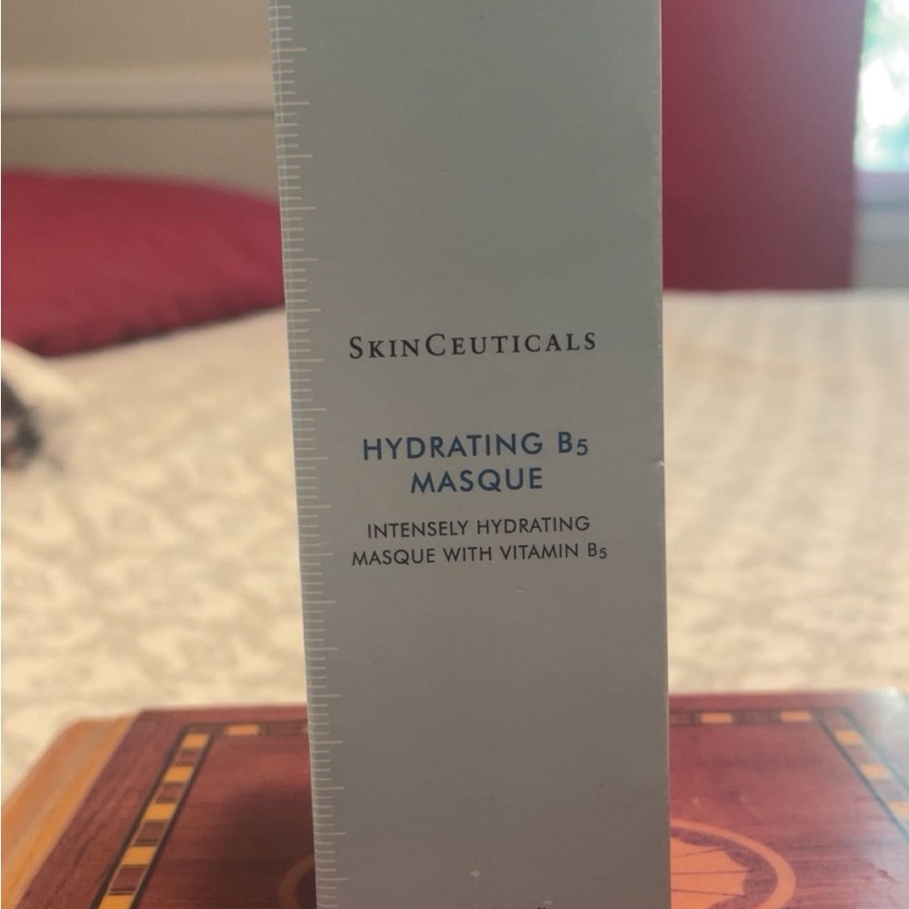 SkinCeuticals Hydrating B5 Masque - Gray and Blue
